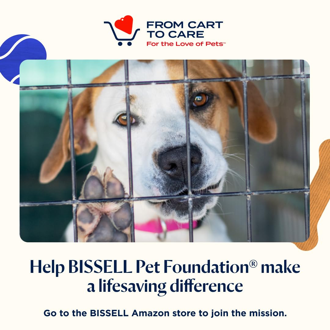 BISSELL Little Green Portable Carpet & Upholstery Cleaner, Auto Detailer with Specialty Tools, Green, Model 1400B