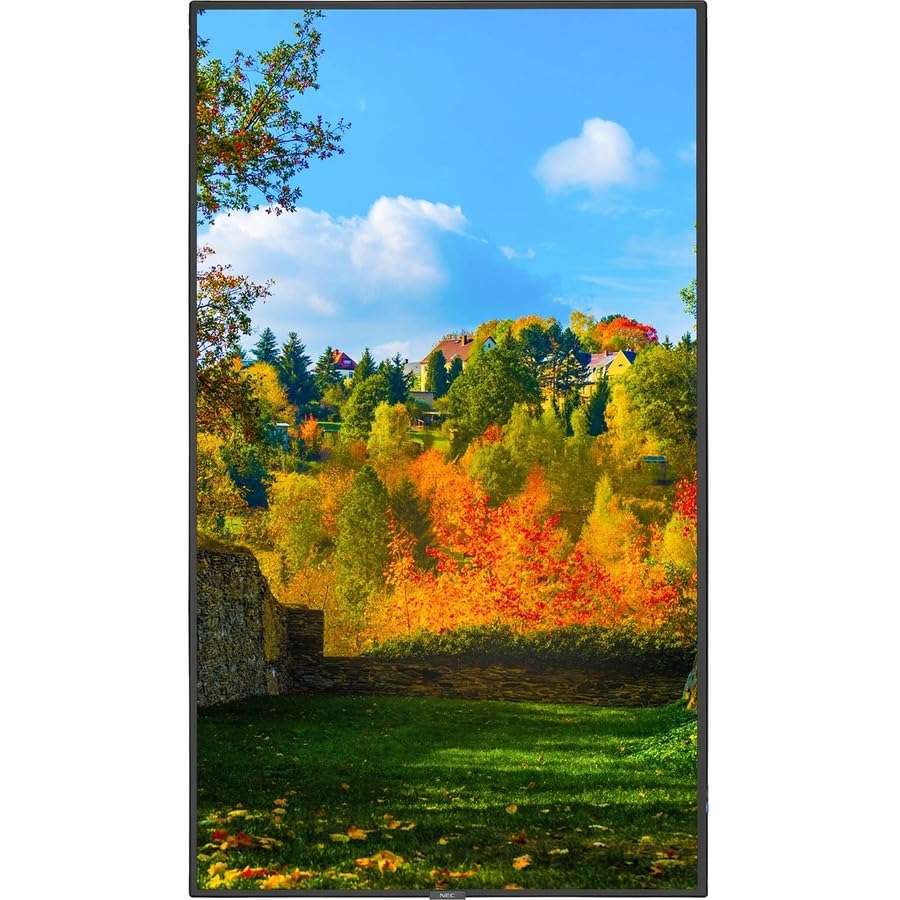 Nec Display 55'' Ultra High Definition Professional Display With Integrated Atsc/Ntsc Tuner