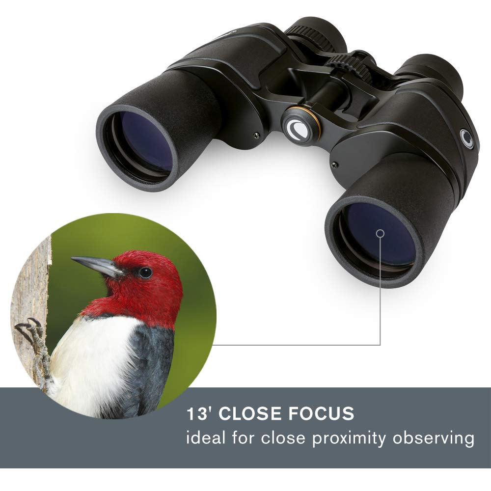 Celestron   Ultima 8X42 Binoculars   Waterproof & Fogproof   Porro Prism Binoculars For Adults   Fully Multi Coated Optics And B