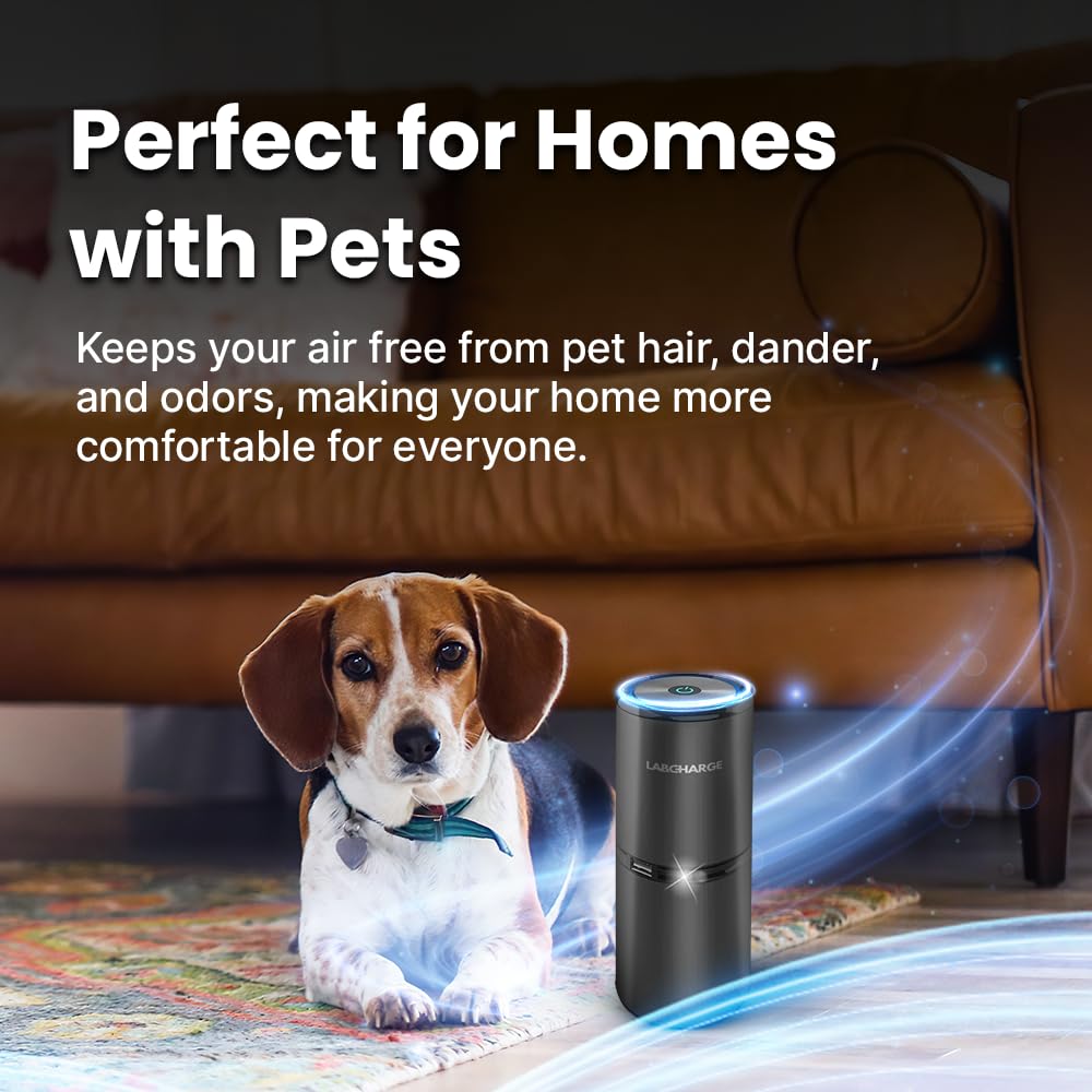 Labcharge Ionic Air Purifier For Home & Bedroom - Silent Hepa Filter-Free Cleaner For Pets, Hair, Smoke, Dust, Odors & Dander -