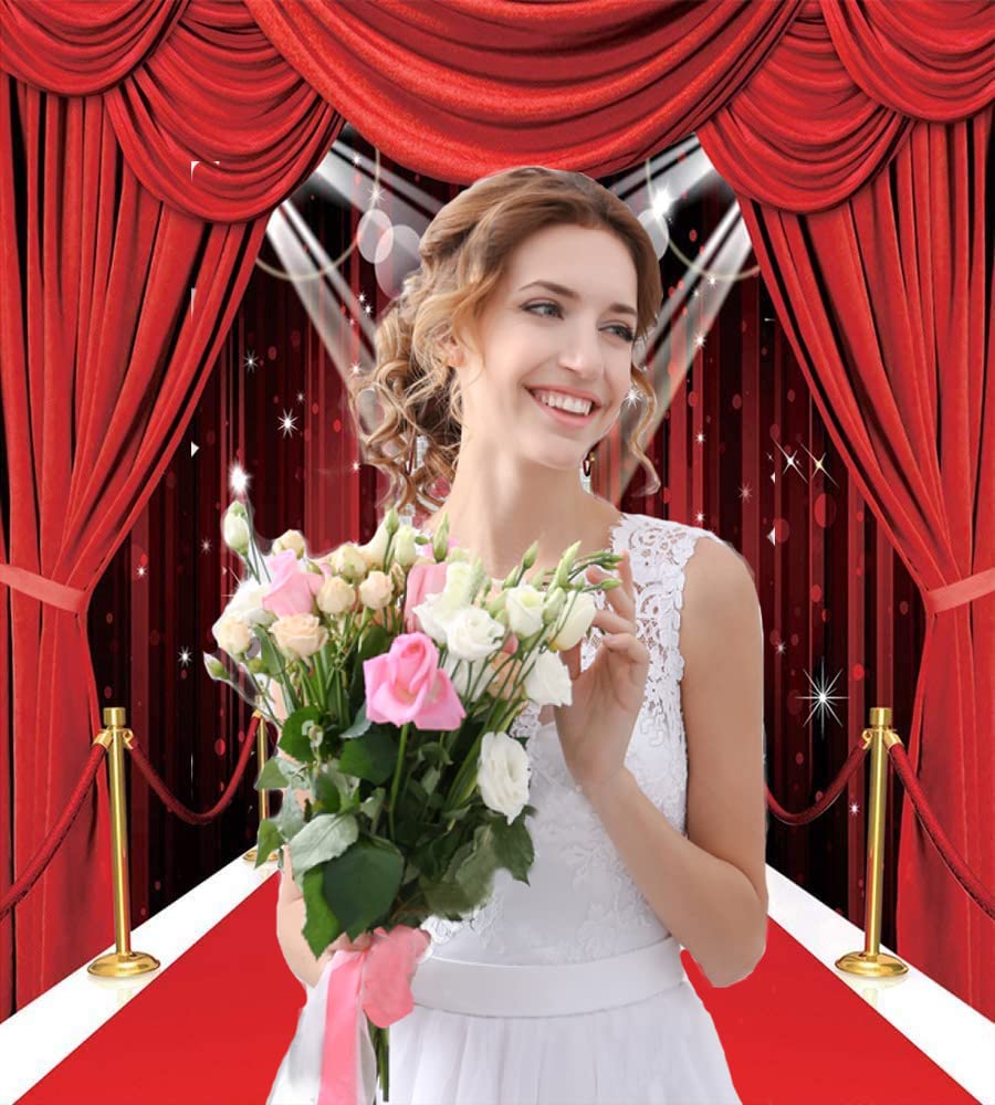 Hollywood Theme Party Decorations Photo Backdrops Red Carpet Backgrounds Vinyl Photography Background Backdrops For Wedding Birt