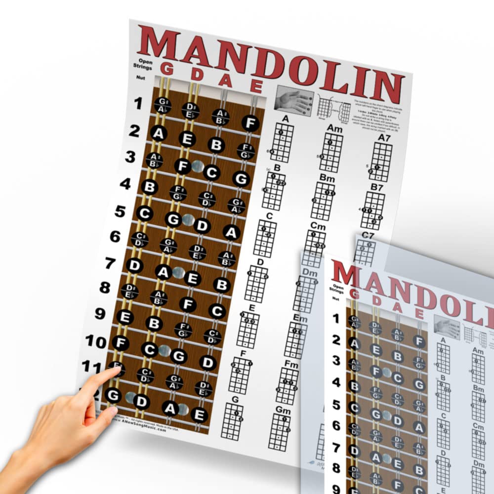 Laminated Mandolin Fretboard Notes & Easy Beginner Chord Chart 11X17 Instructional Poster By A New Song Music