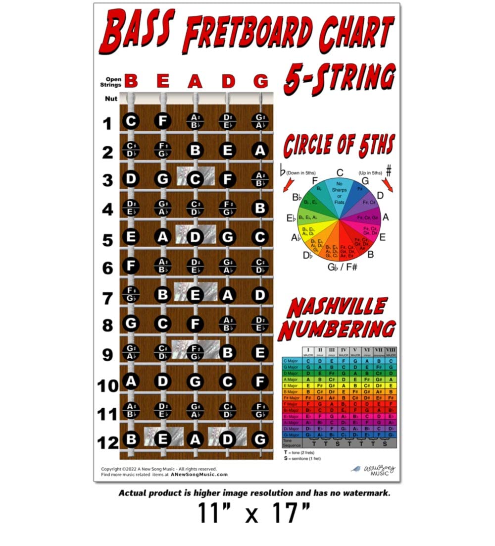 A New Song Music 5 String Bass Fretboard Poster   Nashville Numbering System, Circle Of 5Ths, Notes Instructional Chart 11X17