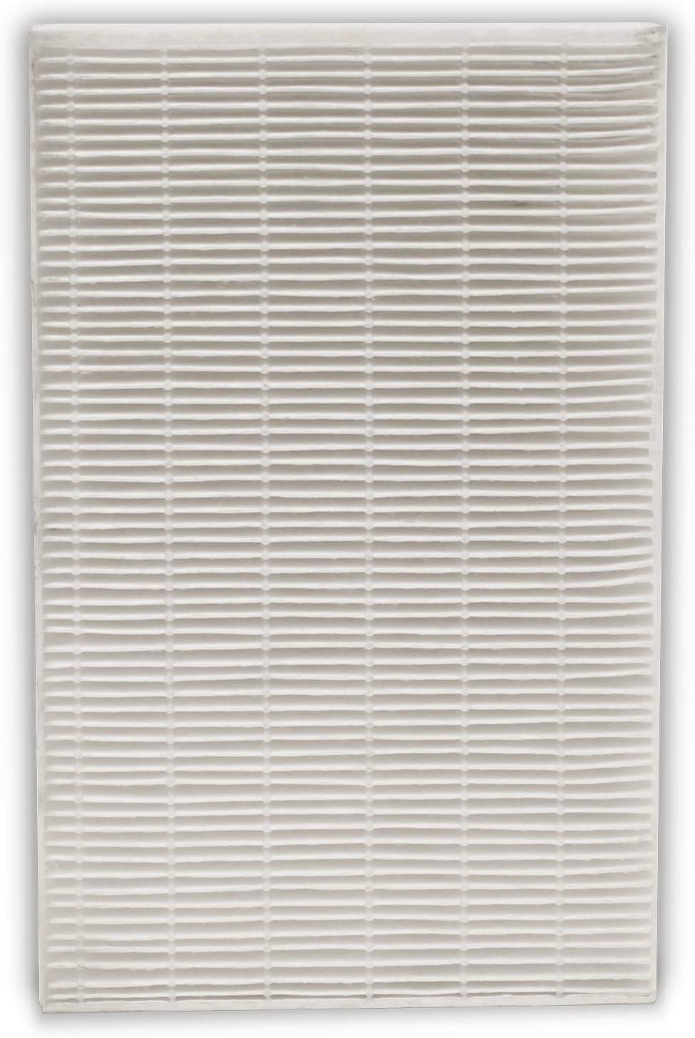 Hepa Repl Filter