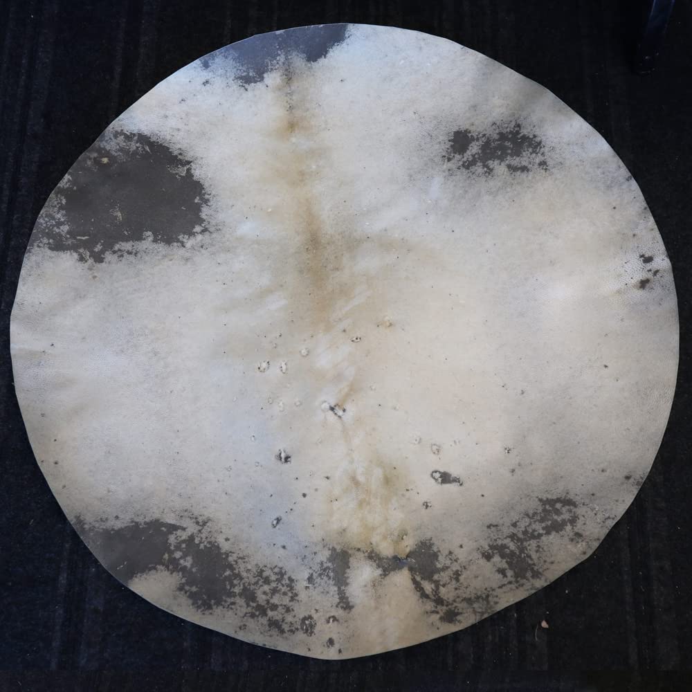 Zaza Percussion   Goatskin For Darbuka Doumbek Drum, Goat Skin For Djembe Natural Flat Round Goat Skin Head  10''