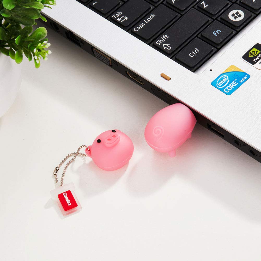 Garrulax Usb Flash Drive, 8Gb / 16Gb / 32Gb Usb 2.0 Updated Waterproof Usb Memory Stick Date Storage Pendrive Thumb Drives (16Gb