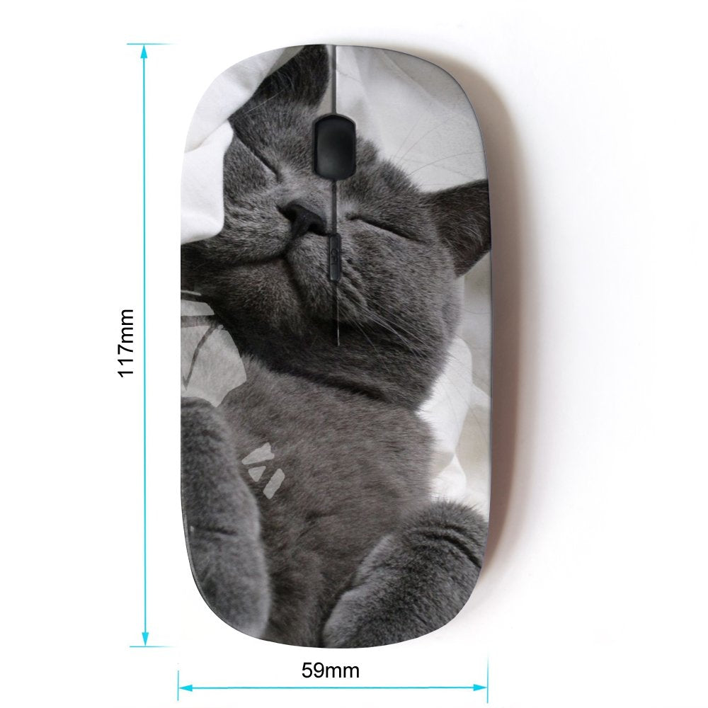 Koolmouse [ Optical 2.4G Wireless Mouse [ Russian Blue Korat Cat Black Feline ]
