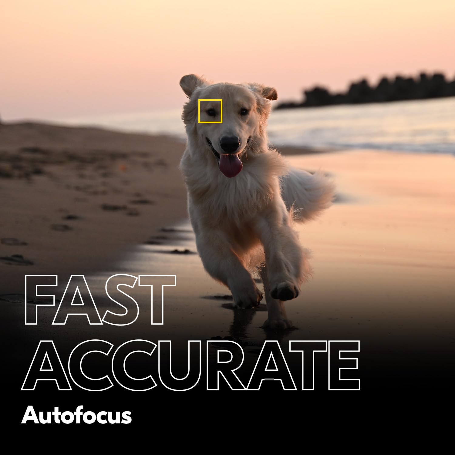 Nikon Z F With Zoom Lens | Full-Frame Mirrorless Stills/Video Camera With 24-70Mm F/4 Lens | Nikon Usa Model