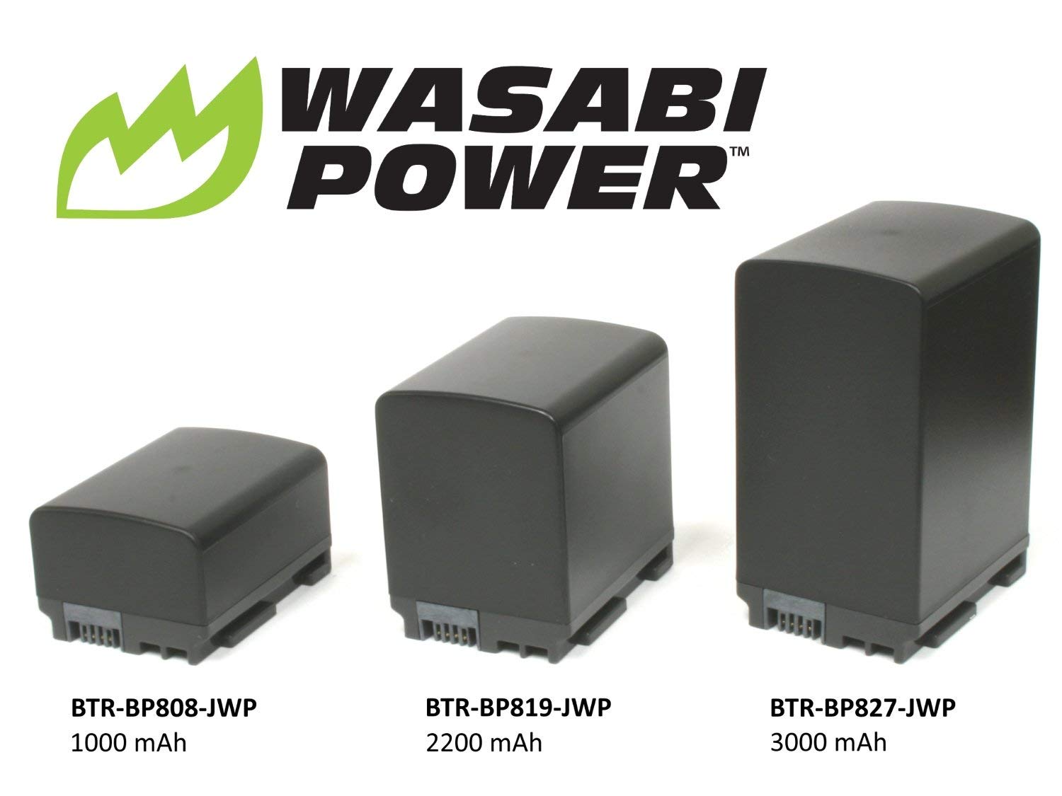 Wasabi Power Battery For Canon Bp 808, Bp 809 (1000Mah) And Canon Fs21, Fs22, Fs31, Fs40, Fs200, Fs300, Fs400, Vixia Hf G10, Hf