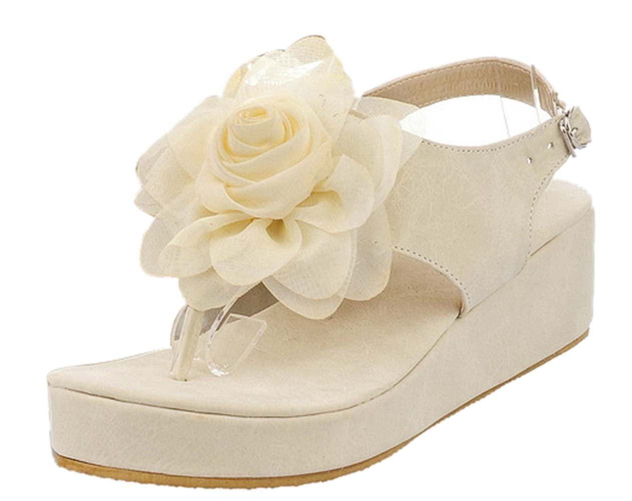 Nwcbl Acpadd5Fcat6Gy R