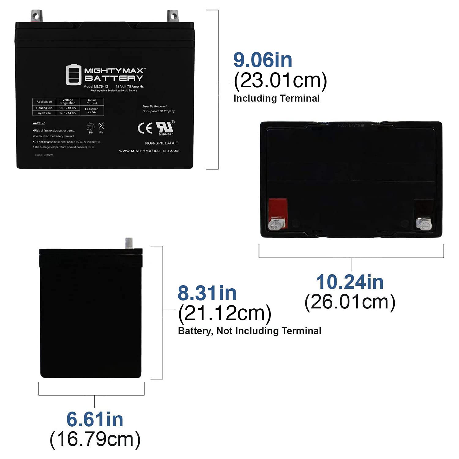 Mighty Max Battery 12V 75Ah Sla Battery Replacement For Wayne Wss30V Backup Sump Pump