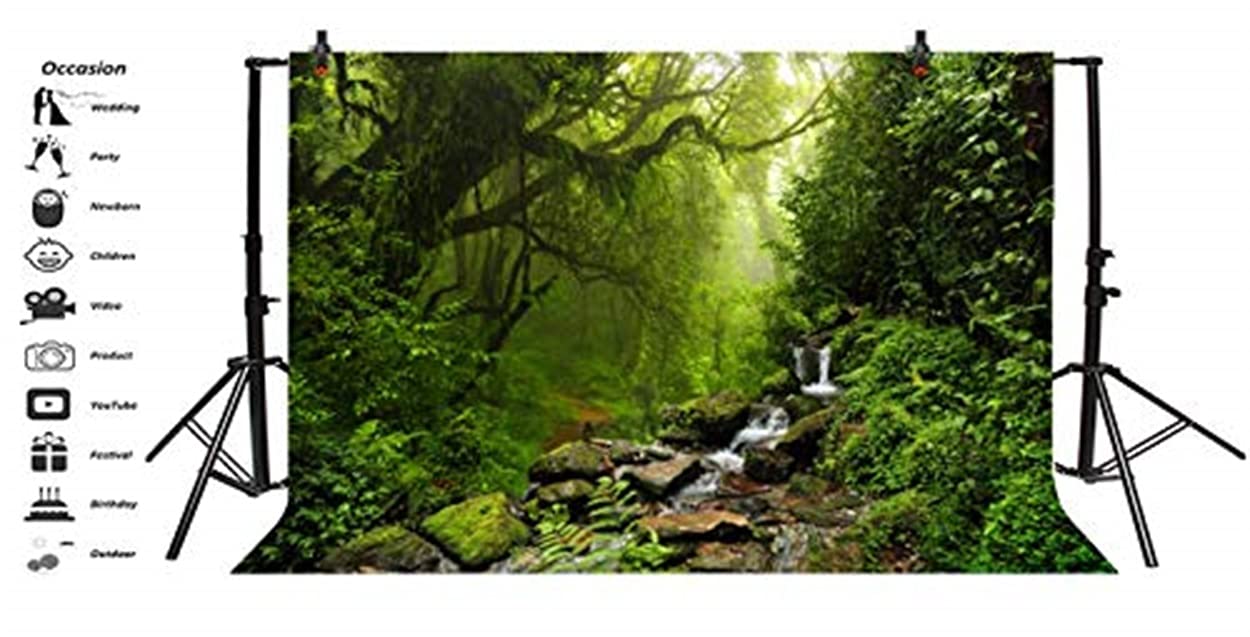 Lfeey 10X8Ft Graceful Natural Scenery Backdrop Evergreen Forest Jungle Rock Flowing Mountain Stream Rainforest Photography Backg