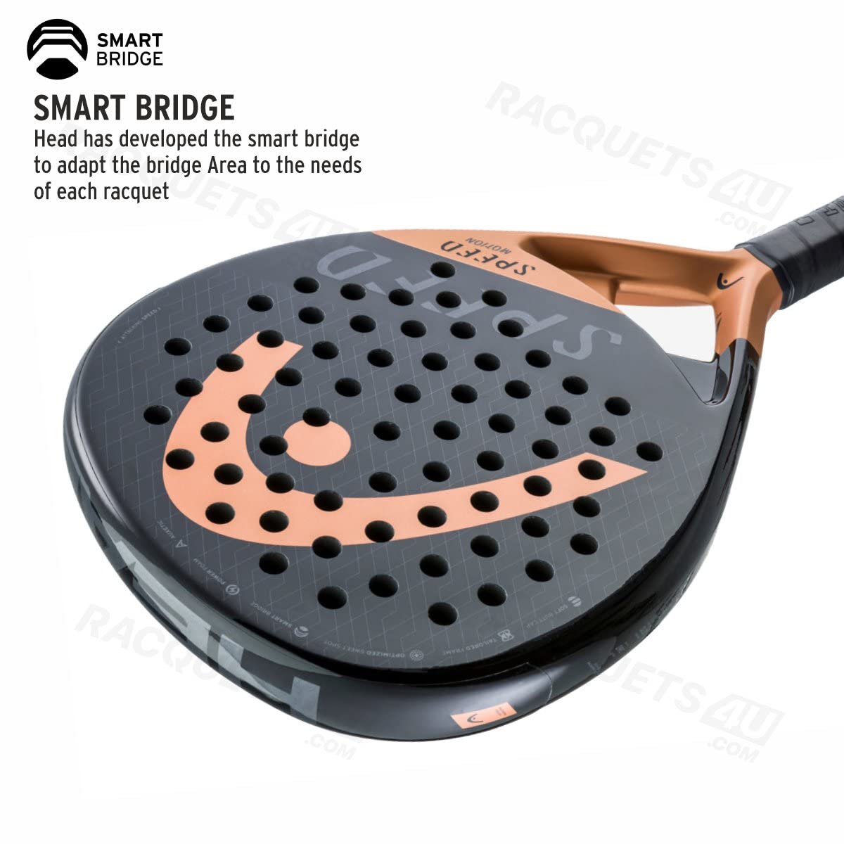 Head Speed Motion 2023 221023