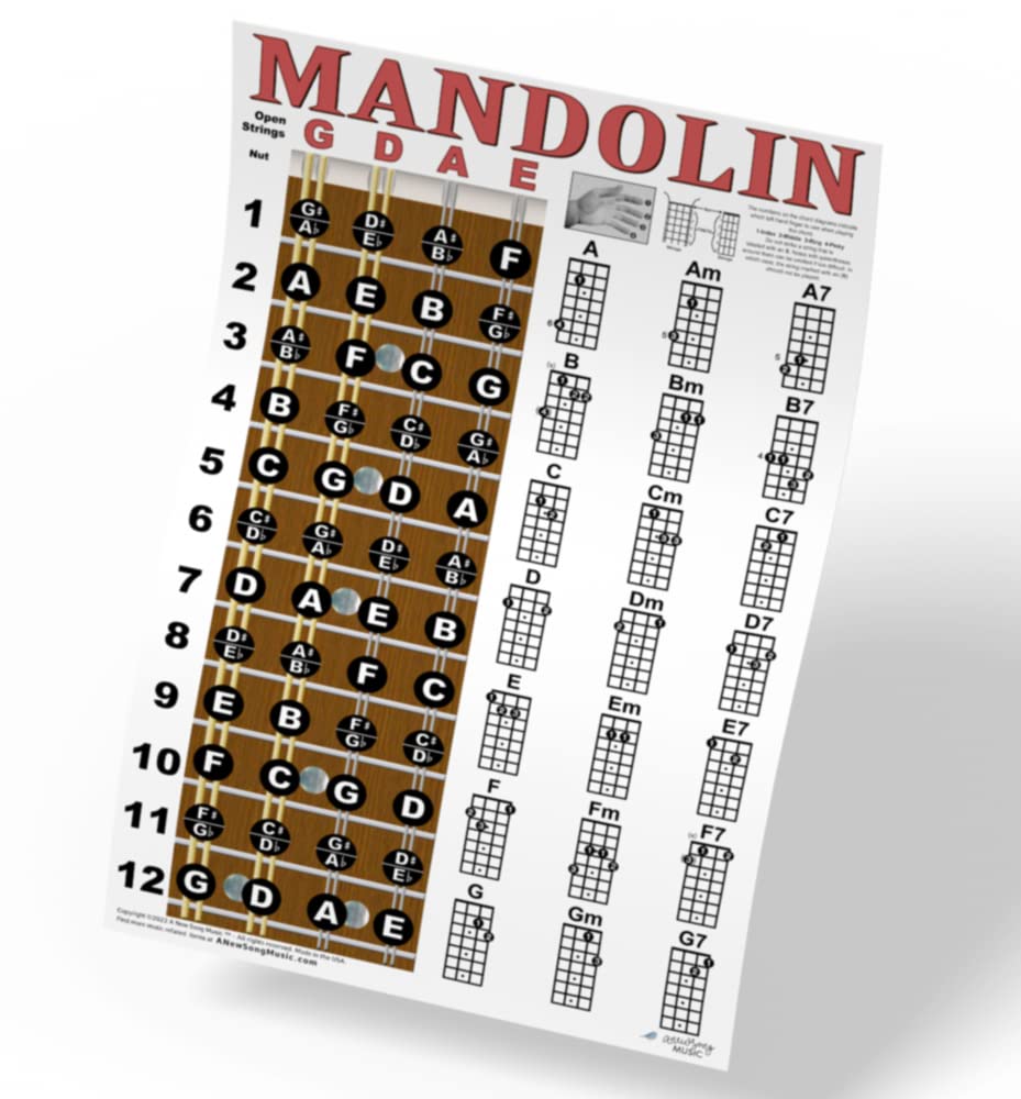 Mandolin Classic Style Easy Chord & Fretboard Note Chart Instructional Poster For Beginners Chords & Notes A New Song Music 11''