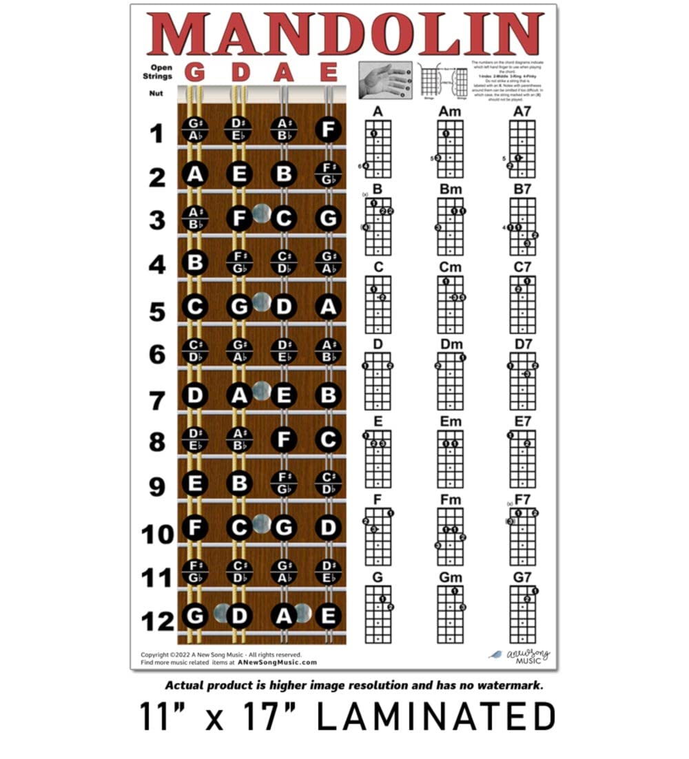 Laminated Mandolin Fretboard Notes & Easy Beginner Chord Chart 11X17 Instructional Poster By A New Song Music