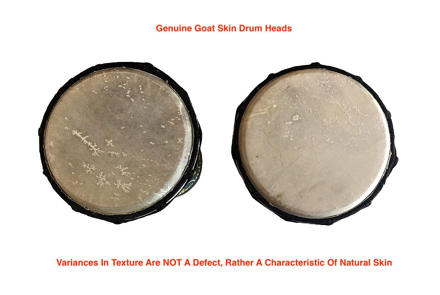 Djembe Drum African Bongo Drum Hand Drum Large Size 16'' High   Jive Brand   Professional Sound/Quality   Carved