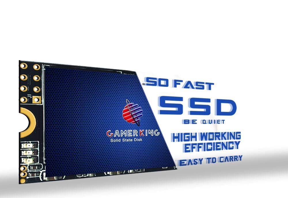 Gamerking Ssd M.2 2242 60Gb Ngff Internal Solid State Drive High Performance Hard Drive For Desktop Laptop Sata Iii 6Gb/S M2 Ssd (60Gb, M.2 2242)