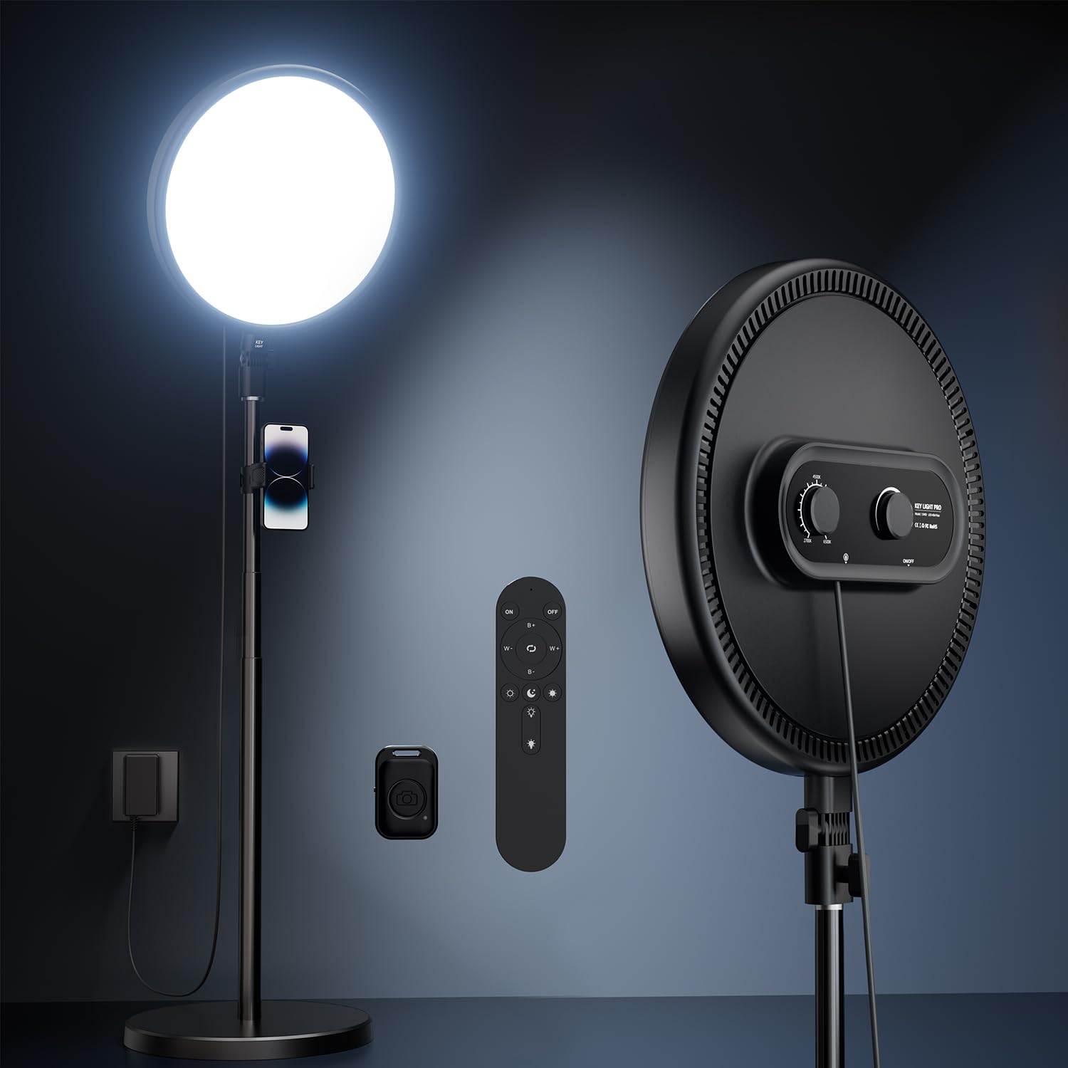 Todi Large Ring Light With 79'' Stand, 6500K Full Screen Selfie Ring Light With Stand And Phone Holder, Professional Big Ring Li