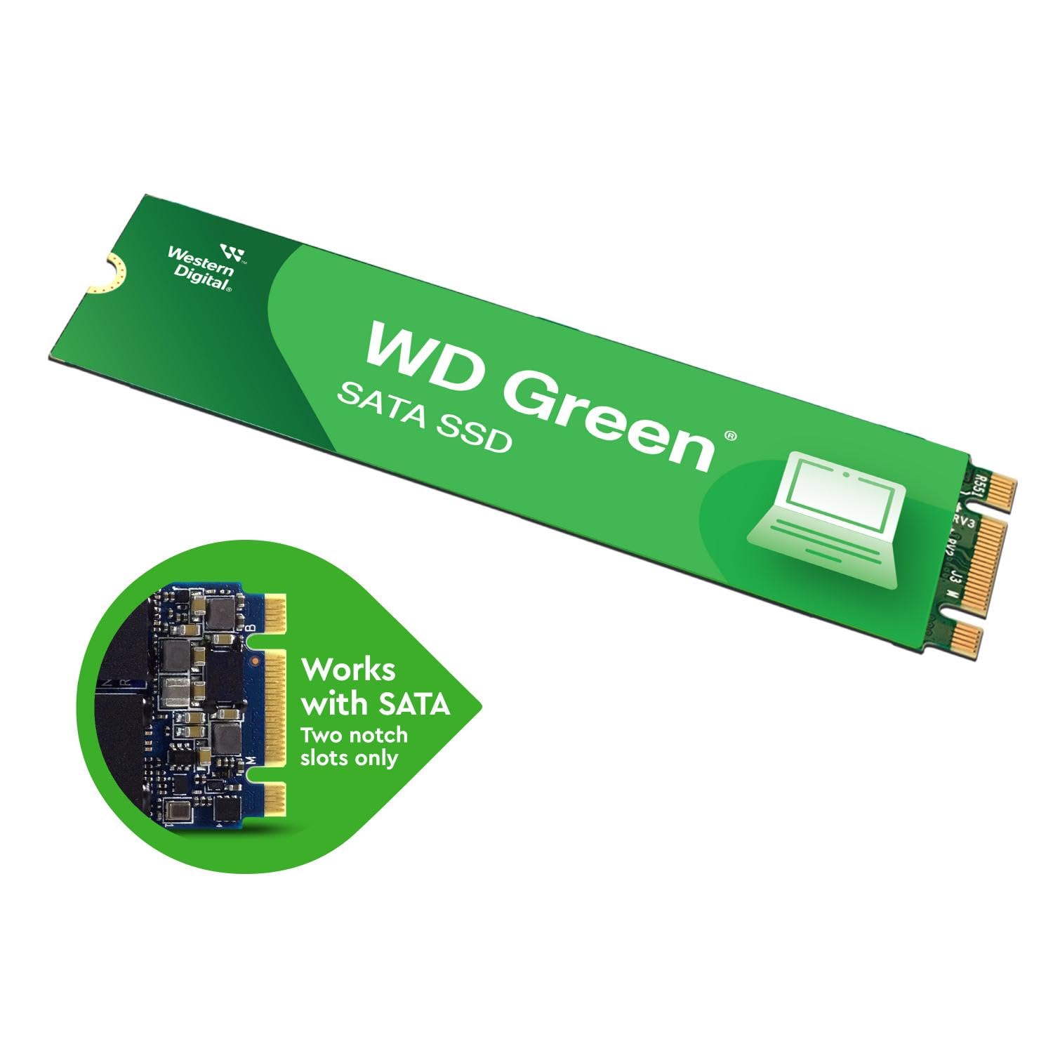 Western Digital 240Gb Wd Green Sata Internal Solid State Drive Ssd   Sata Iii 6 Gb/S, M.2 2280, Up To 545 Mb/S   Wds240G3G0B