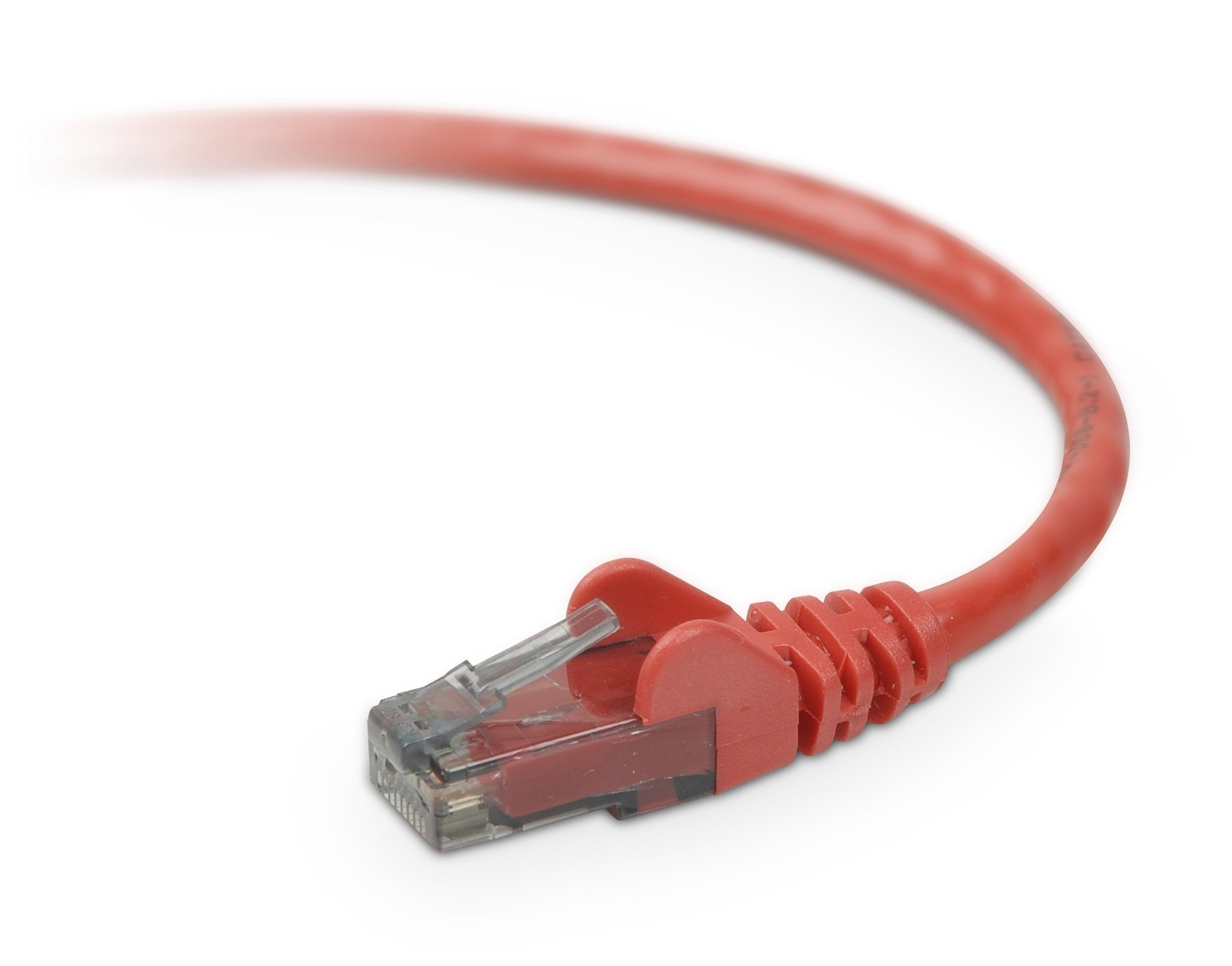 Belkin Patch Cable Rj 45 (M)   Rj 45 (M)   2 Ft   Utp (Cat 6)   Red