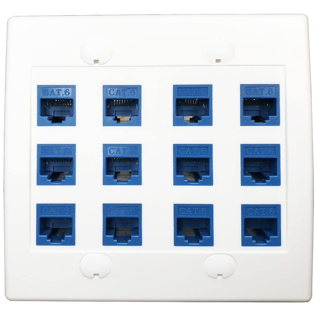 Diytech Ethernet Wall Plate   12 Port Rj45 Cat6 Ethernet Wall Outlet, Female To Female Cat6 Wall Jack Keystone, Ethernet Plug In