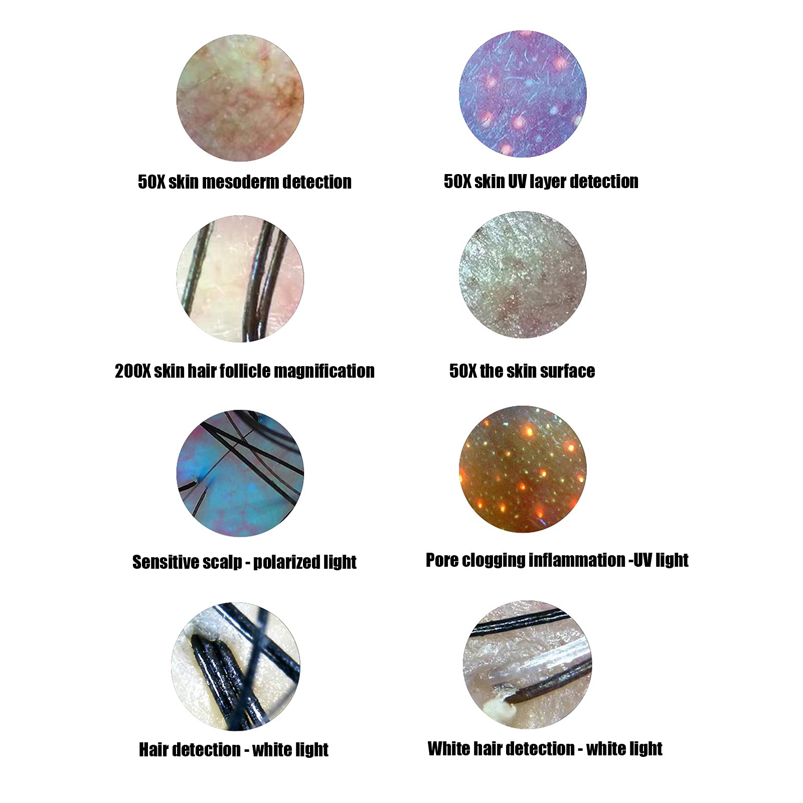 Scalp Detector, 13Inch 50X/200X Lens Multi Functional Rechargeable Digital Hair Skin Analyzer Microscope Magnifier High Sensitiv