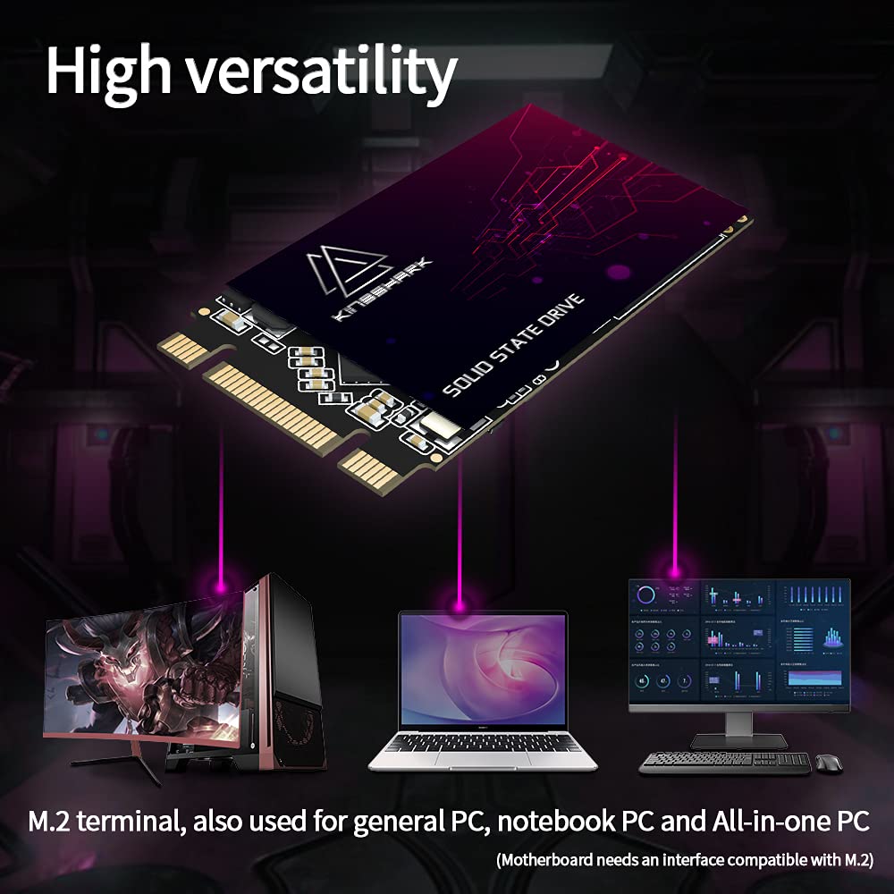 Kingshark M.2 2242 Ssd 250Gb Ngff Internal Solid State Drive High Performance Hard Drive For Desktop Laptop Sata Iii 6Gb/S Includes Ssd (250Gb, M.2 2242)