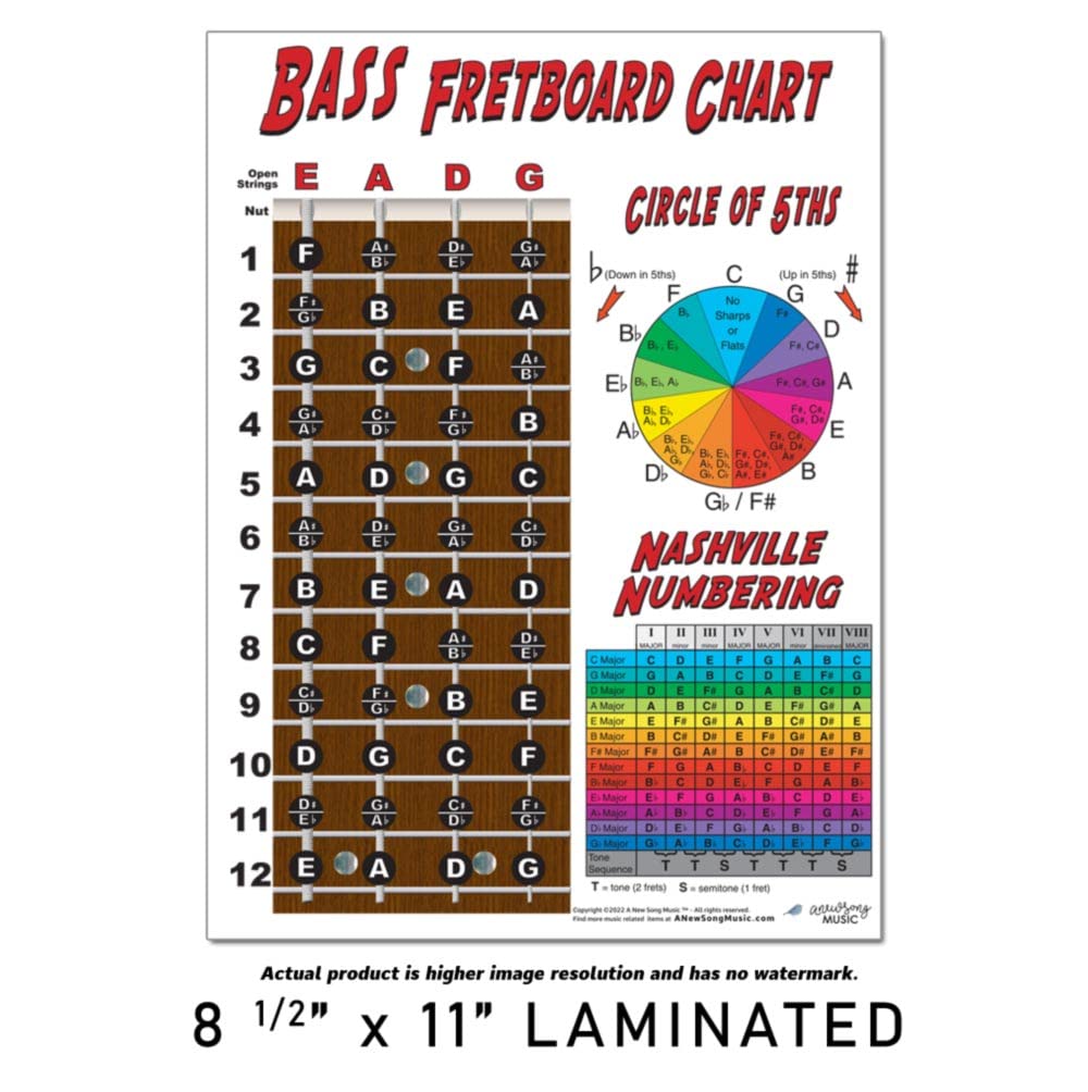 Laminated 4 String Bass Fretboard Notes Chart Nashville Number System & Circle Of 5Ths Easy Instructional Poster For Beginner Fo