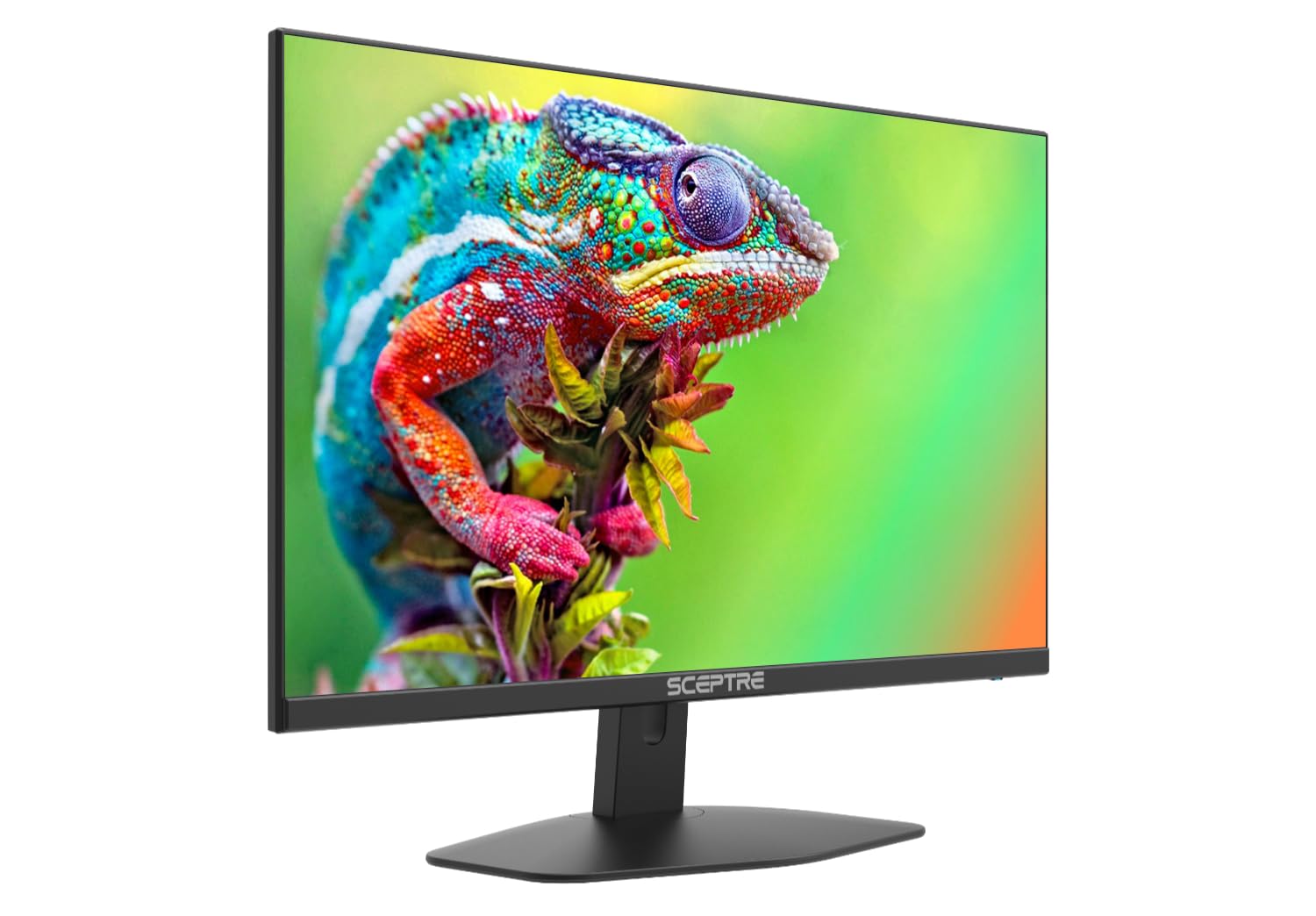 Sceptre 24'' Ips Monitor 1920 X 1080P Ultra Slim 75Hz Hdmi Vga 99% Srgb Metal Black 2021 (E248W Fprk)
