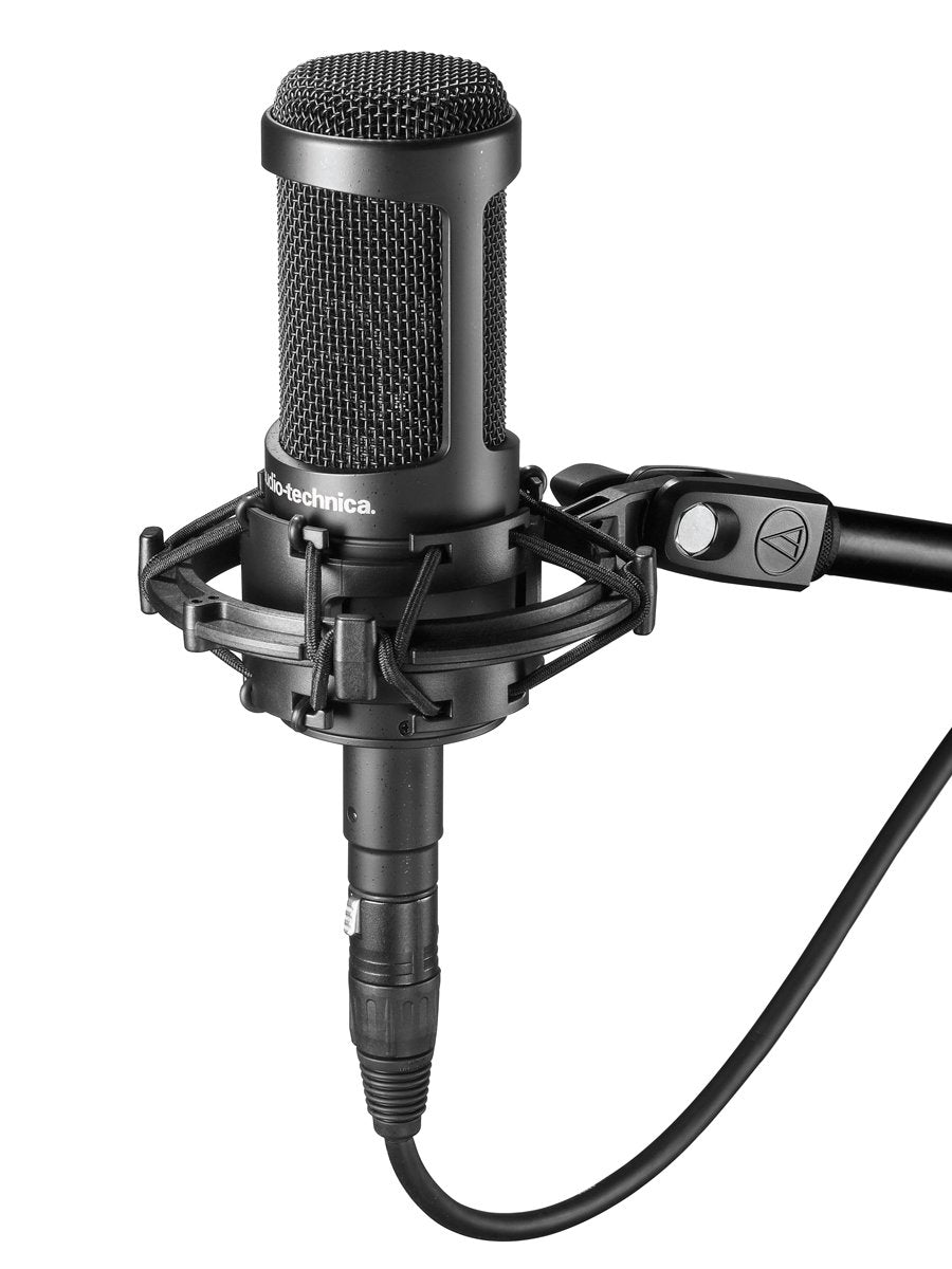 Audio-Technica At2035 Cardioid Condenser Microphone Bundle With Pop Filter, Xlr Cable, And Austin Bazaar Polishing Cloth