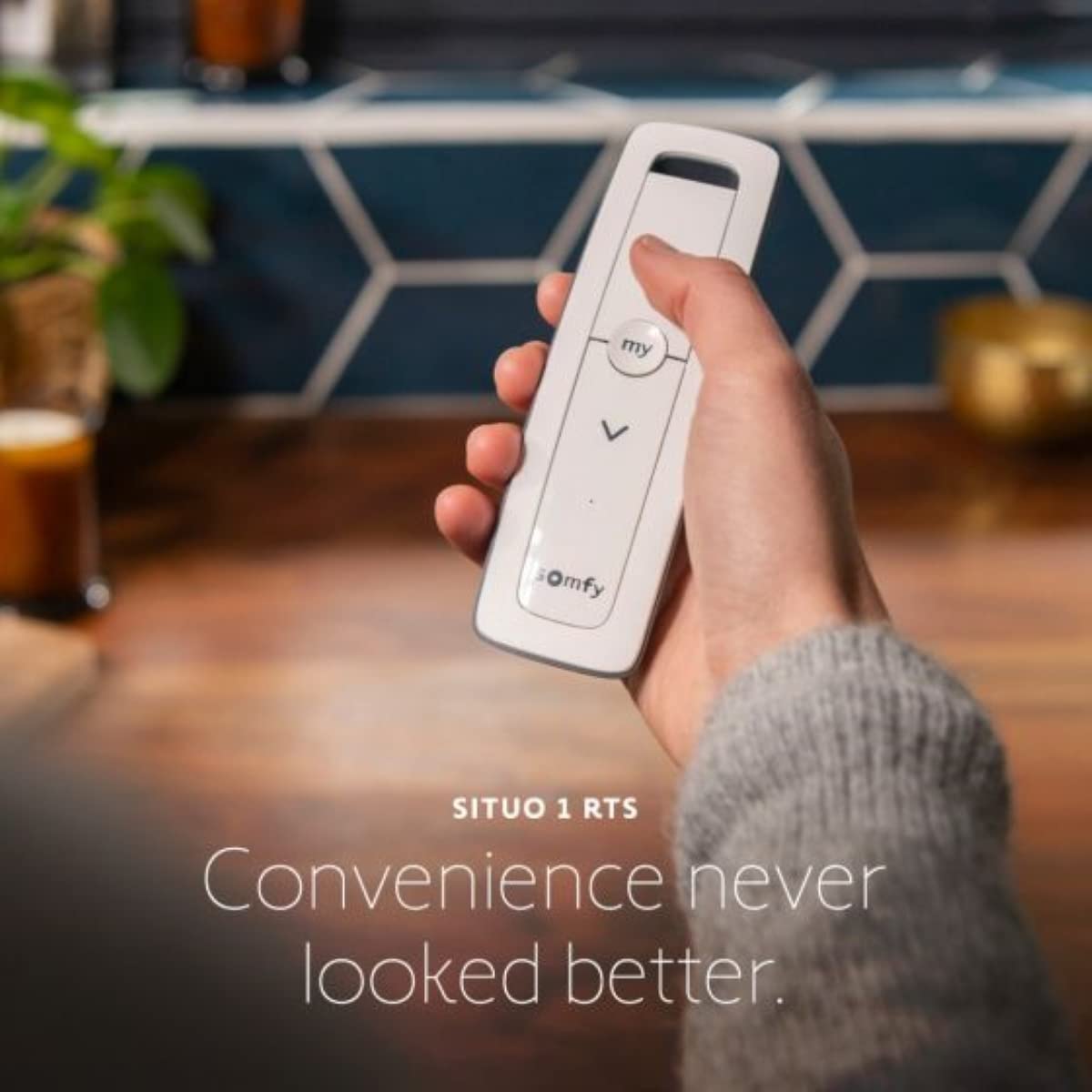 Somfy Situo 1800128 RTS Remote Control - Thumbnail 5