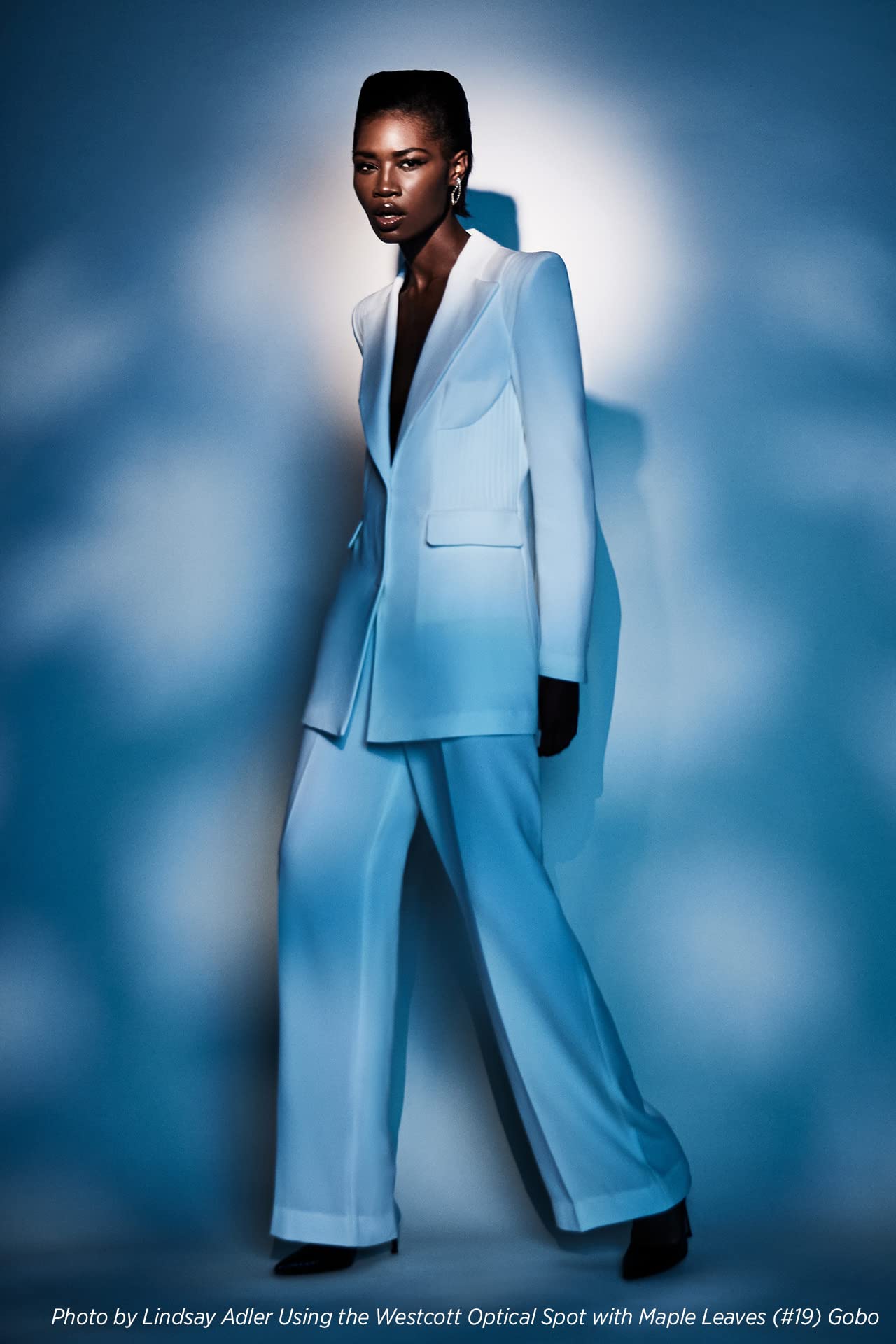 Westcott Gobo Pack: Environmental Designs (10 Pack) For Use With Optical Spot By Lindsay Adler