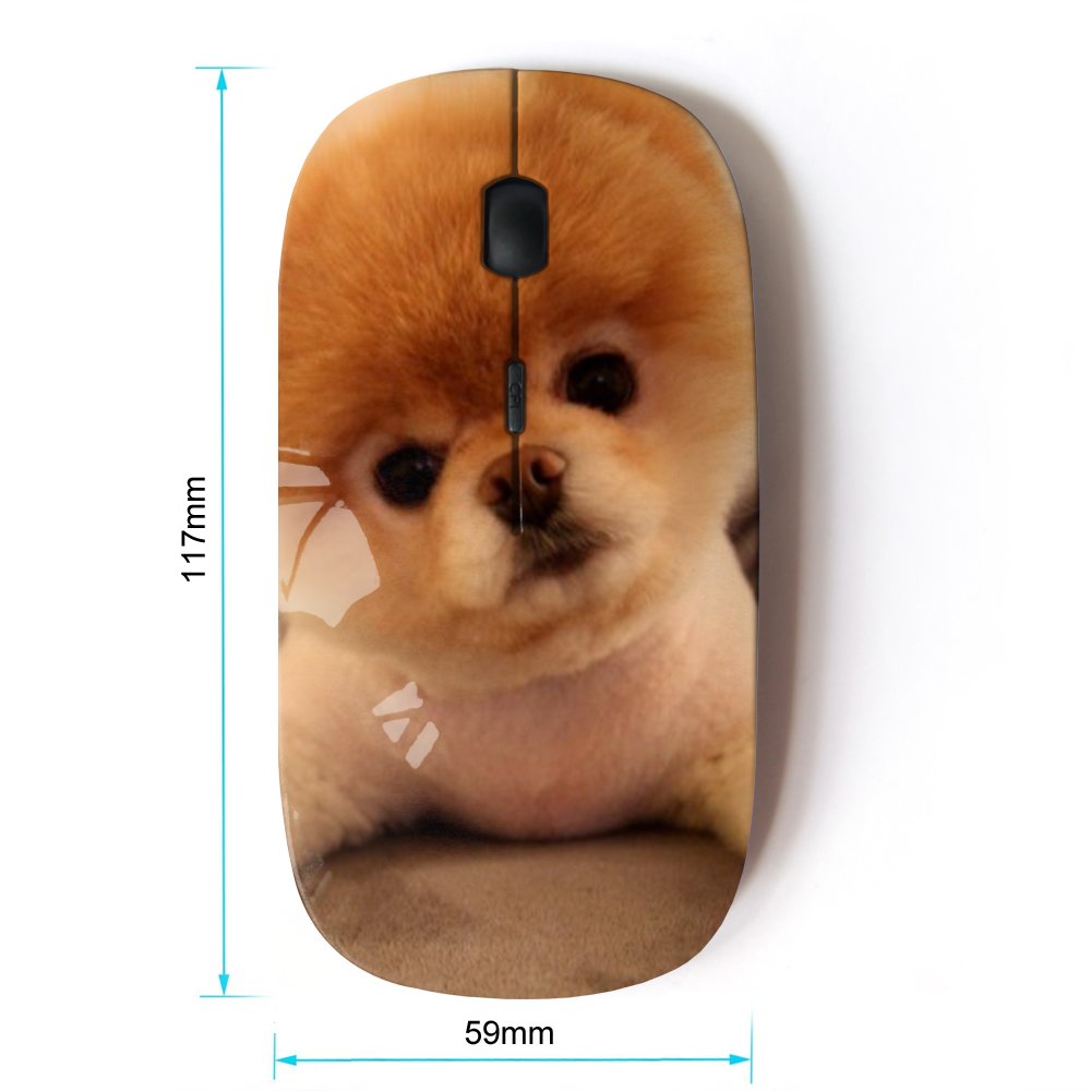 Koolmouse [ Optical 2.4G Wireless Mouse [ Pomeranian Puppy Golden Brown Dog ]