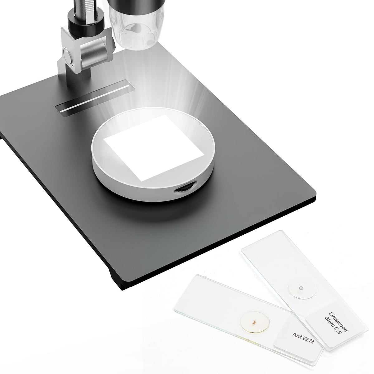 Tomlov Microscope Bottom Light, Universal Transmitted Led Light Stage Holder, Film Scanner & Slide Viewer, 2Pcs Digital Microsco
