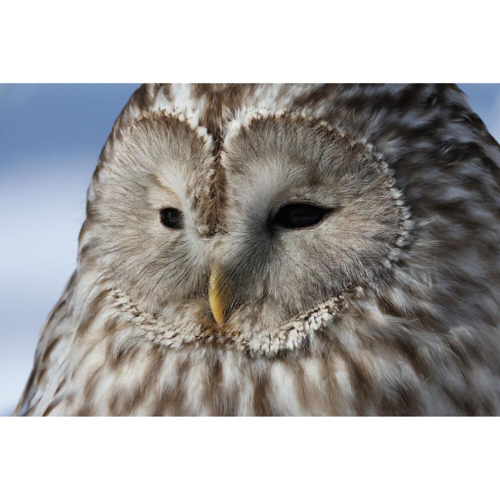 Canon EOS R7 RF S18 150mm F3.5 6.3 IS STM Lens Kit, Mirrorless Vlogging Camera, 32.5 MP Image Quality, 4K 60p Video, DIGIC X Image Processor, Dual Pixel CMOS AF, Subject Detection, Content Creators