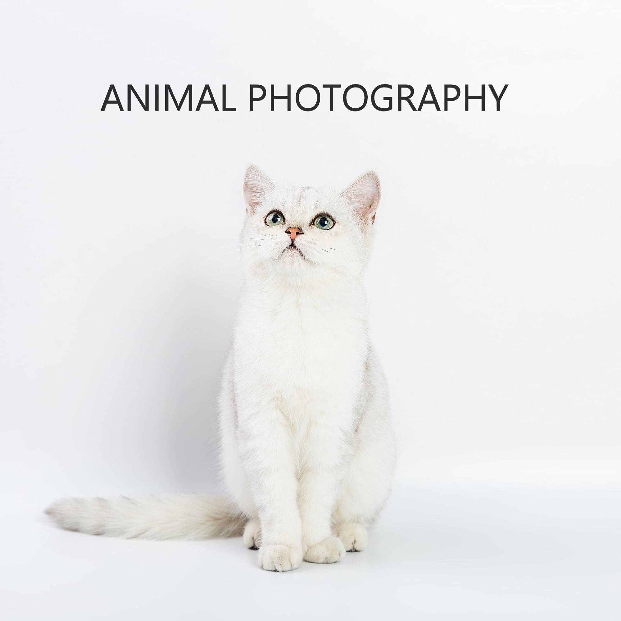 Meking Photography Pvc Backdrop 31X59 Inches (80X150Cm) White Matte & Reflective Pvc Background For Studio Video Product Commerc