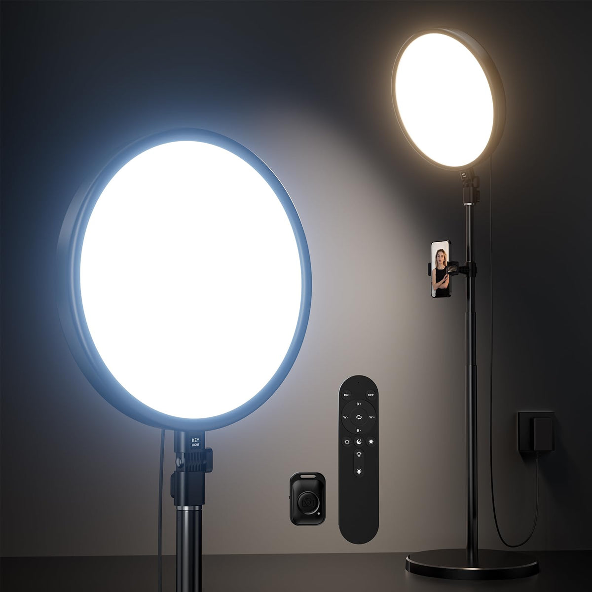 Large Ring Light Kit, Weilisi 6500K Professional Full Screen Big Ring Light With Stand And Phone Holder, 64'' Tall Ring Light Wi