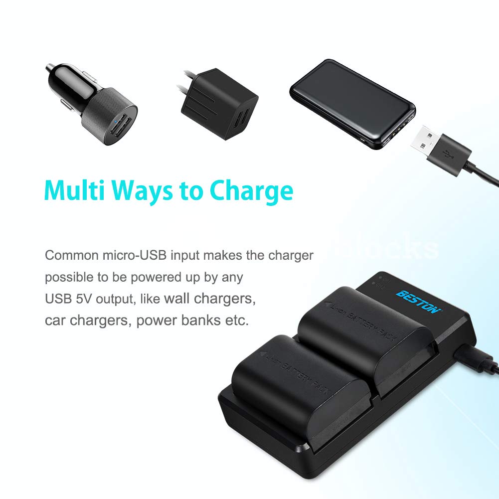 Beston 2 Pack Of Lp E6N Batteries And Dual Battery Charger For Canon Eos R, R5, Eos 60D 70D 80D 90D, 5D Mark Ii, 5D Mark Iii, 5D