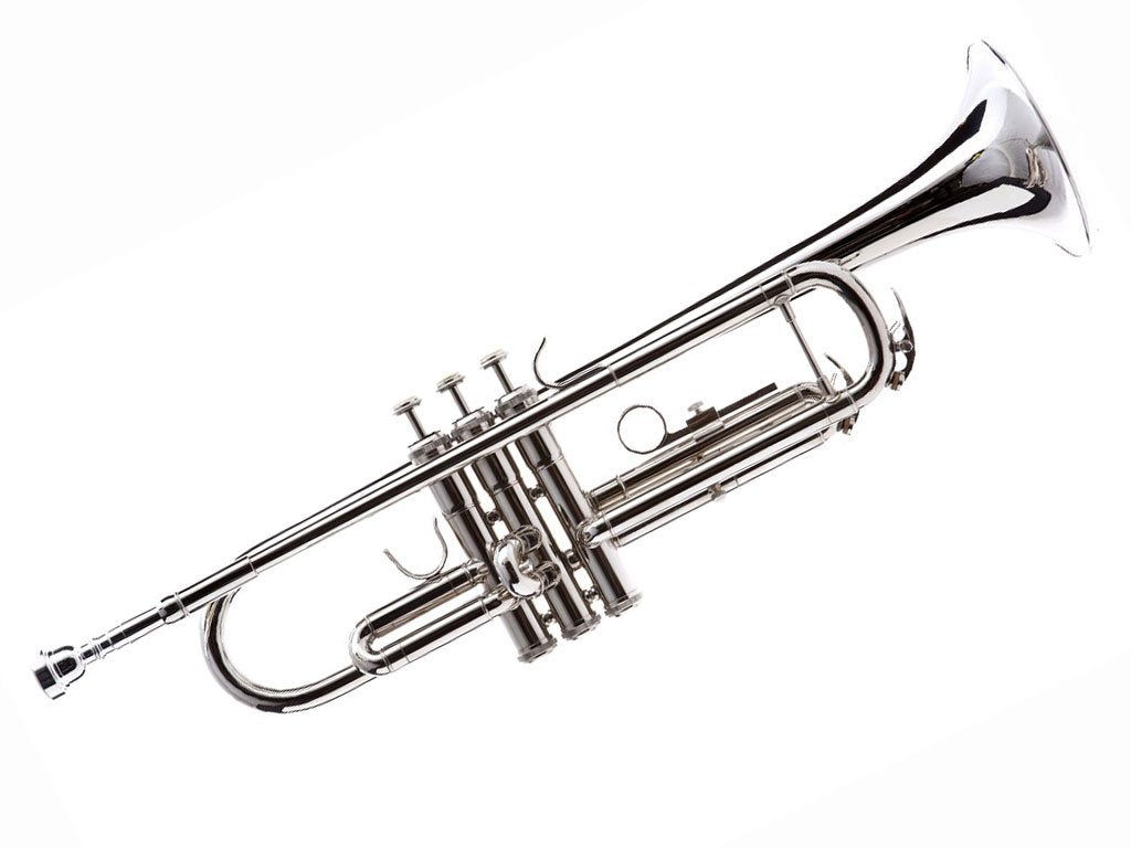 Hawk Wd T312 Bb Trumpet With Case And Mouthpiece, Nickel Plated