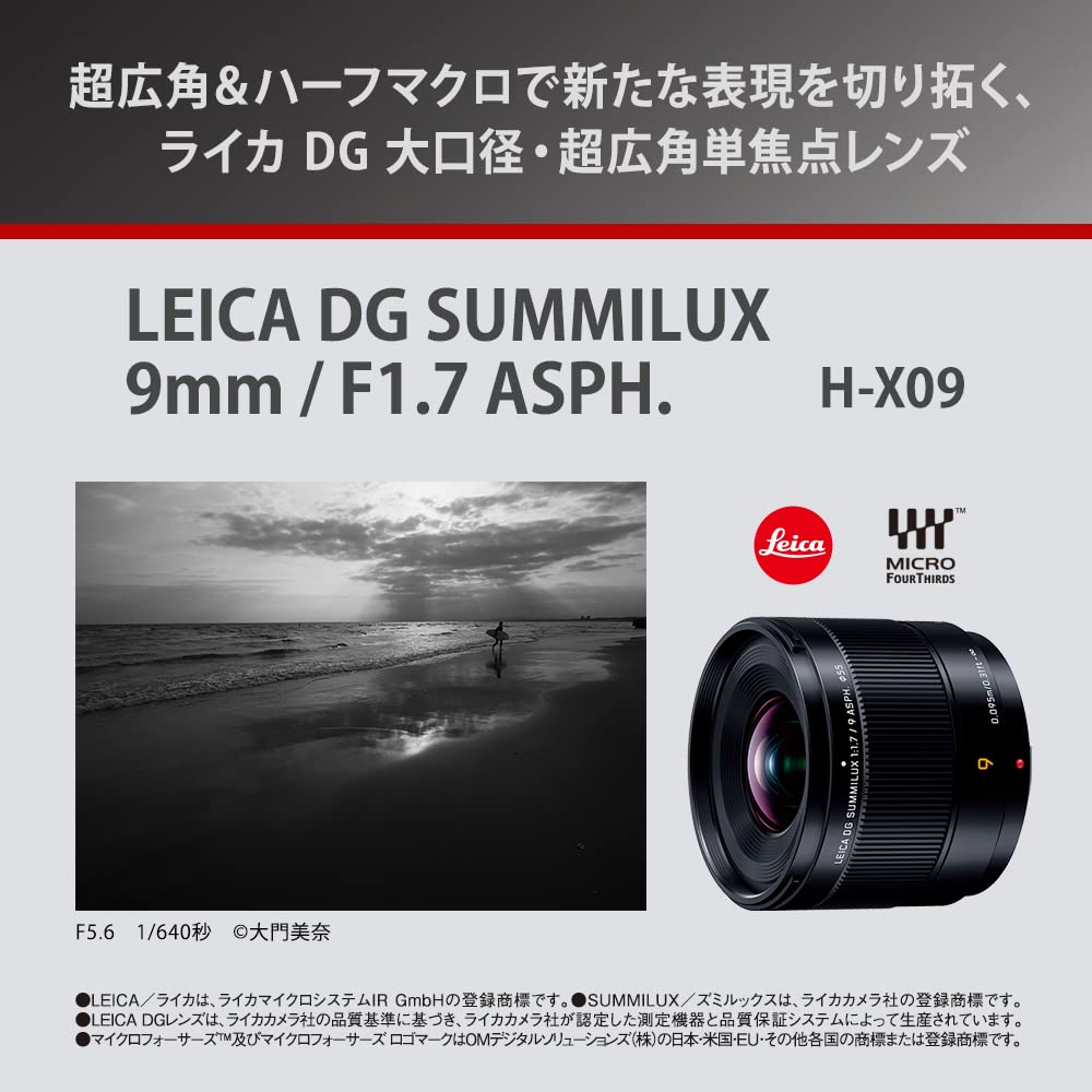 Panasonic H-X09 Wide Angle Monofocal Lumix Camera Lens Interchangeable Lens For Dslr Cameras