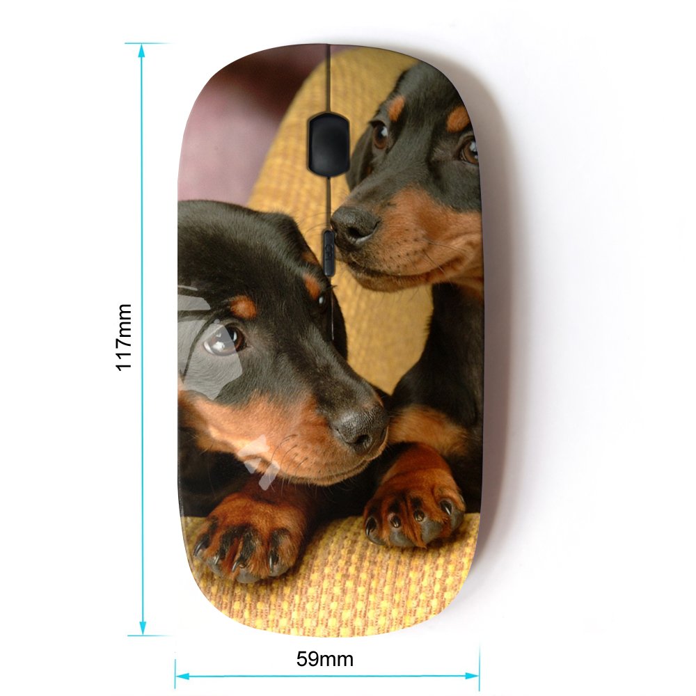 Koolmouse [ Optical 2.4G Wireless Mouse [ Dachshund Miniature Puppies Dog Shorthair ]