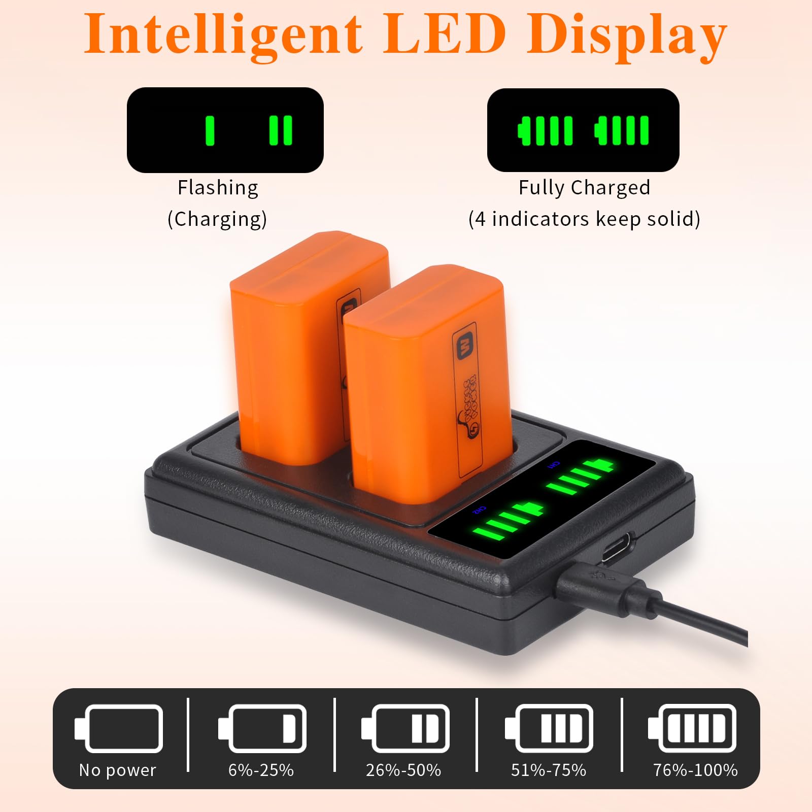 Pickle Power Np Fw50 Battery And Led Display Charger For Sony A6500 A6400 A6300 A6000 A5000, A7 A7Ii A7Rii A7Sii A7S A7S2 A7R A7