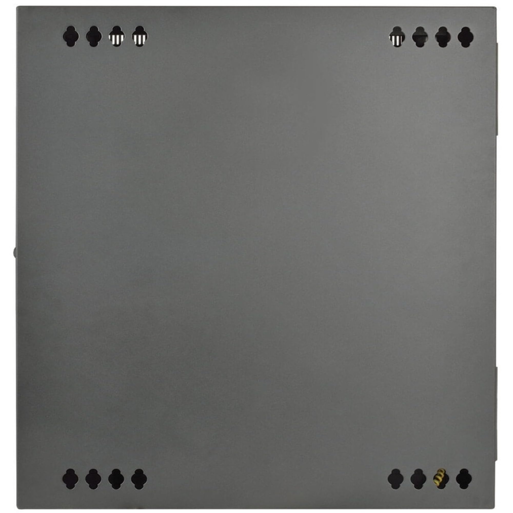 Tripp Lite 12U Wall Mount Rack Enclosure Server Cabinet, Hinged Back, 24.5 In. Deep, Ups-Depth (Srw12Usdp)