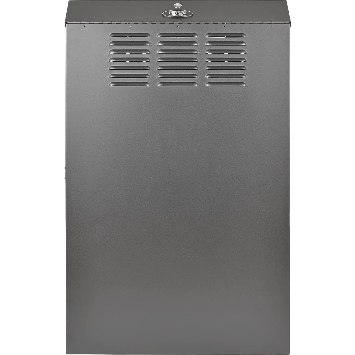 Tripp Lite 4U Vertical Wall Mount Rack Enclosure Cabinet, Low Profile, Server Depth, 36 Deep, Black (Srwf4U36)