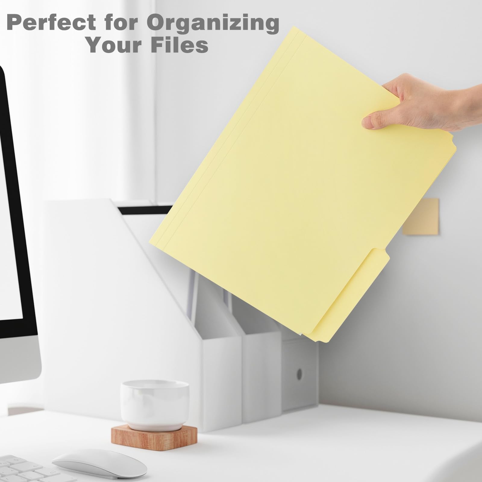 Lineco Archival Letter Size File Folders. Organize Important Documents, Prints, Photos. 9.5 X 11.75 With 1/2-Cut Tab, Acid-Free,