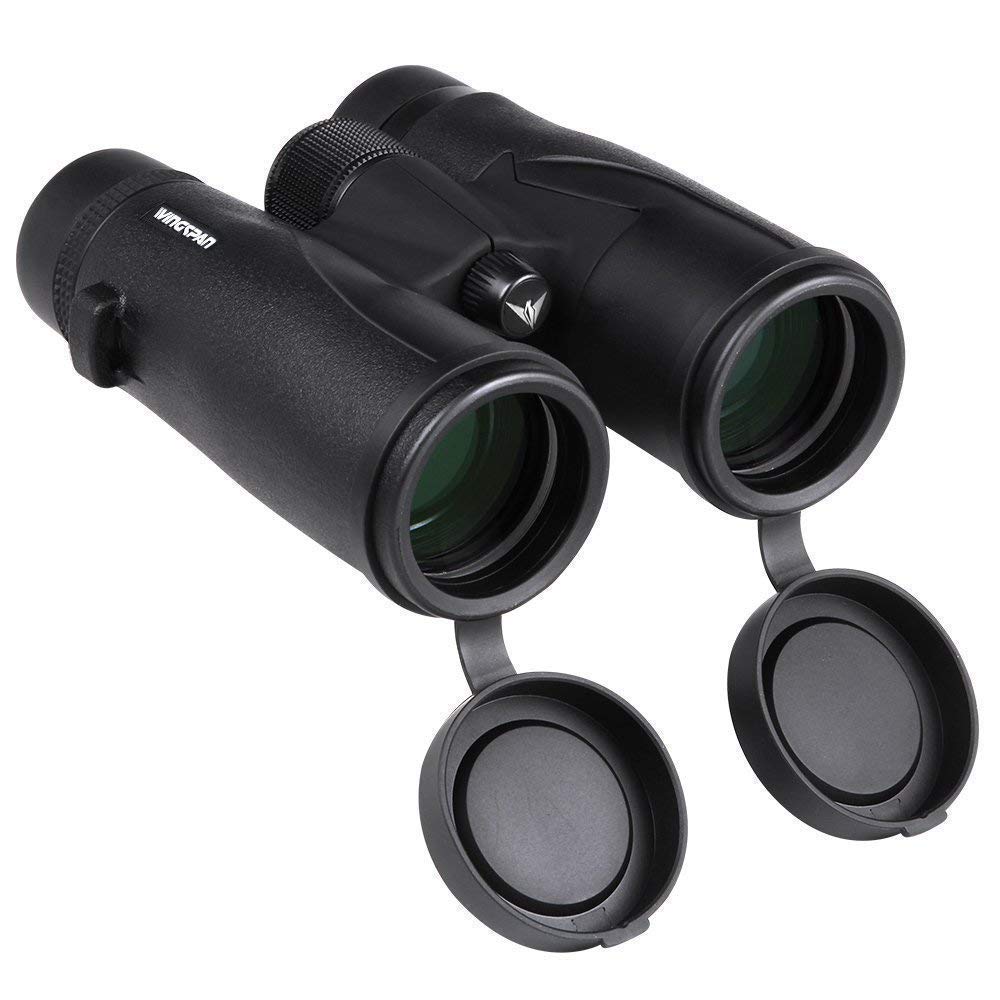 Wingspan Optics Skyview Ultra Hd   8X42 Binoculars For Bird Watching For Adults With Ed Glass. Waterproof, Wide Field Of View, C