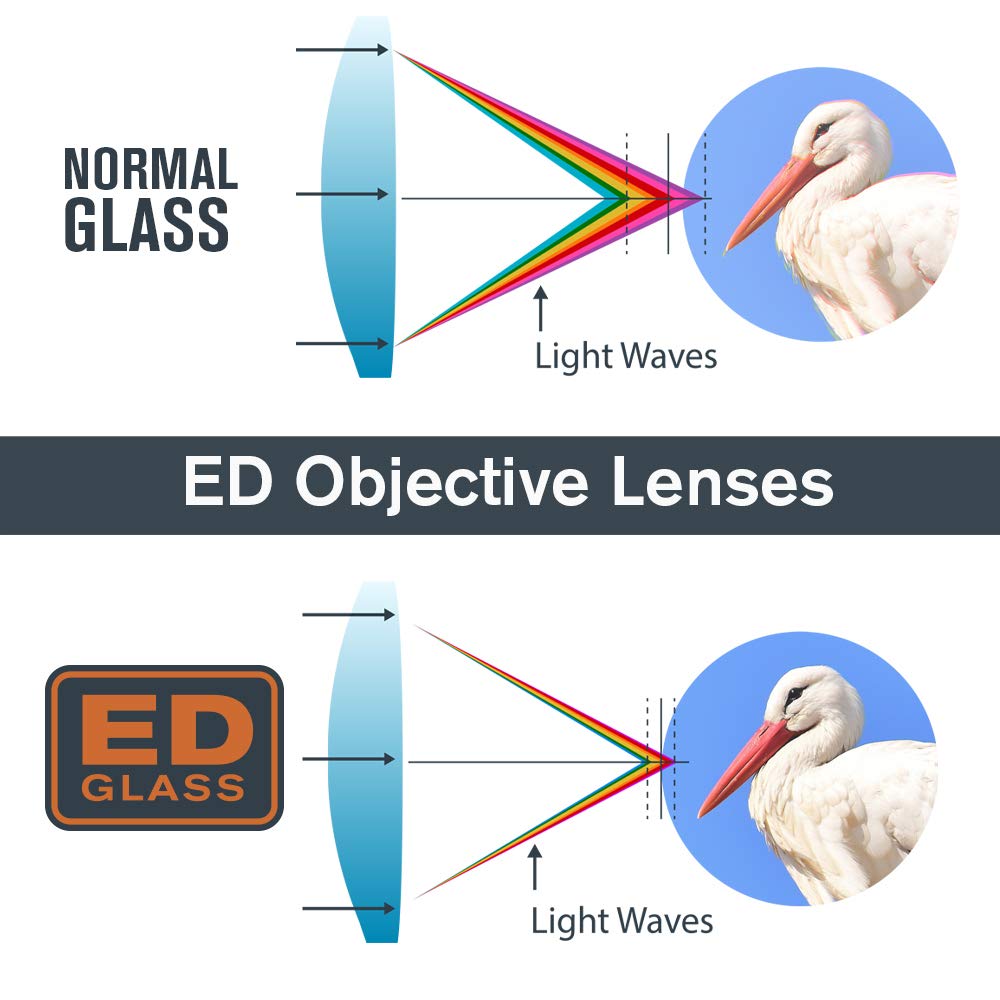 Celestron - Trailseeker Ed 10X42 Binoculars - Extra-Low Dispersion Glass - Perfect For Birdwatching And Outdoor Activities - Ful