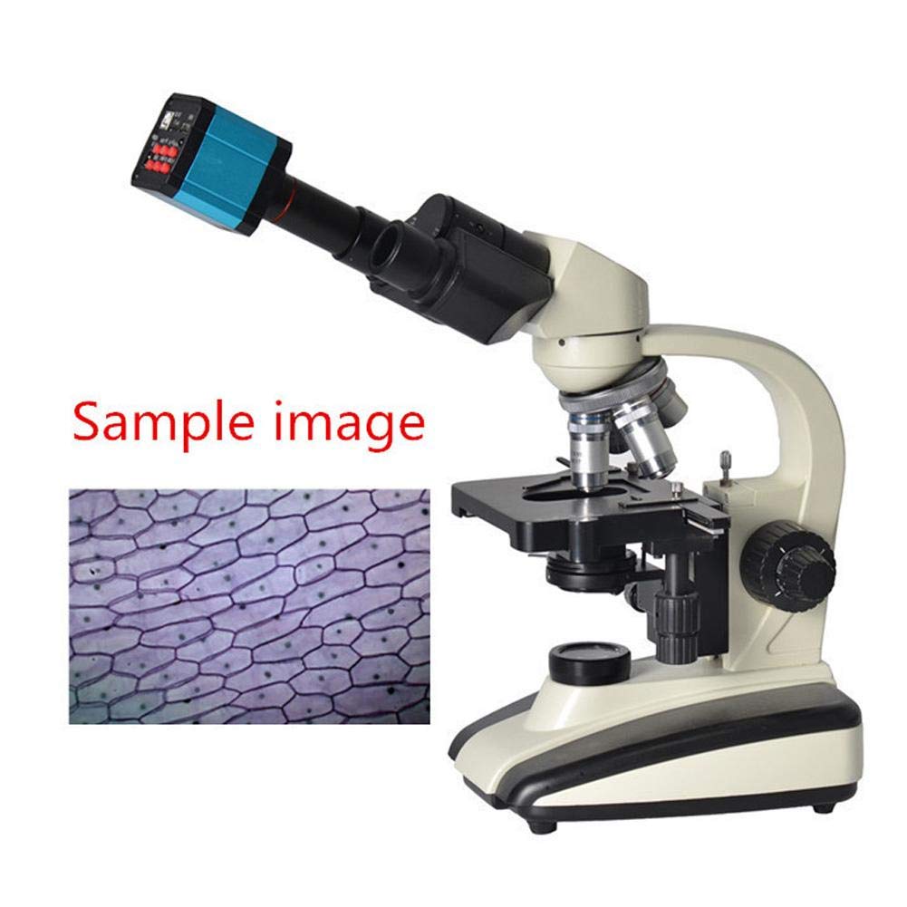 37Mp 1080P 60Fps Usb Microscope Camera Video Industry Microscope Camera With Conversion Adapter, 100 240V Microscope Digital Cam