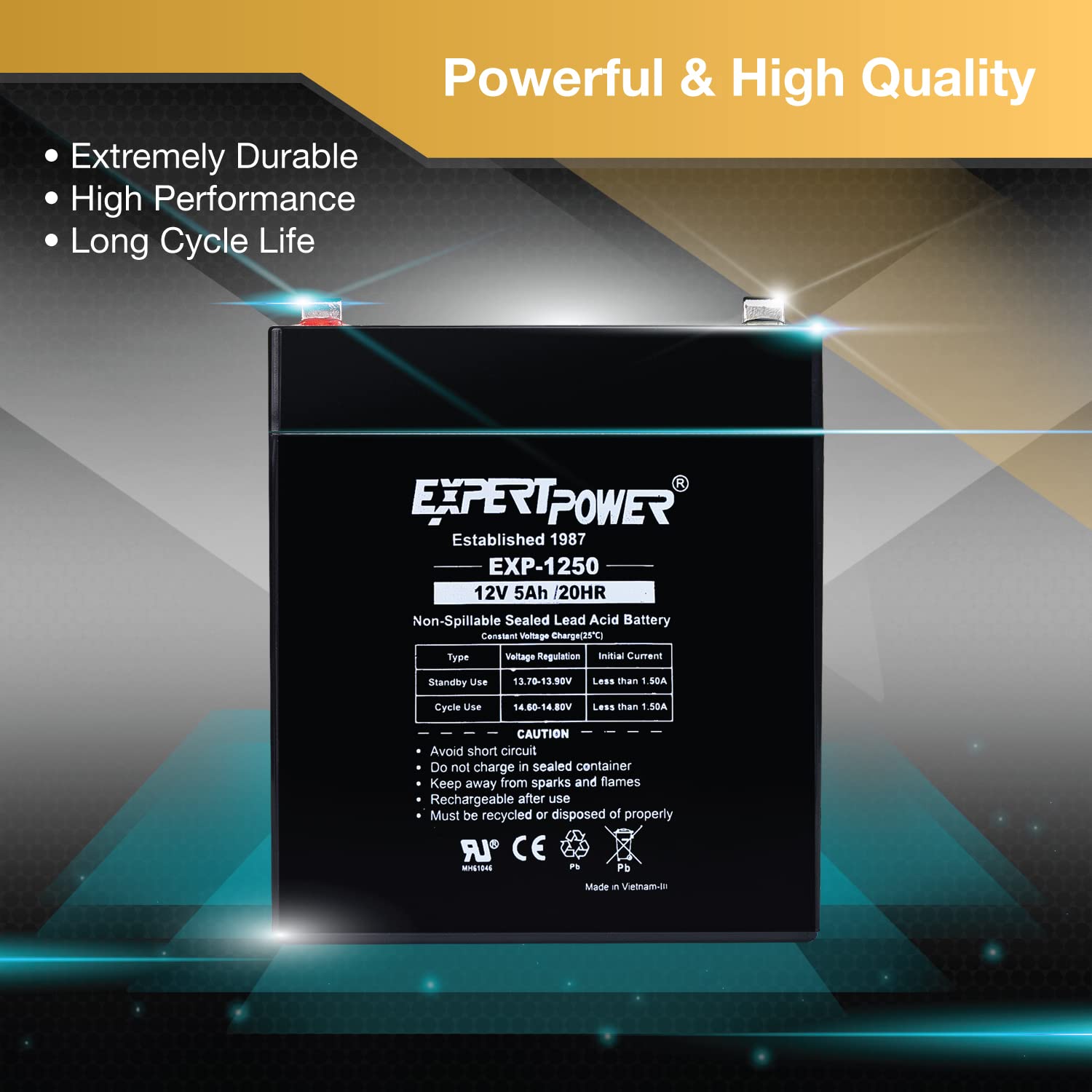 Expertpower Exp1250 12V 5Ah Home Alarm Battery With F1 Terminals