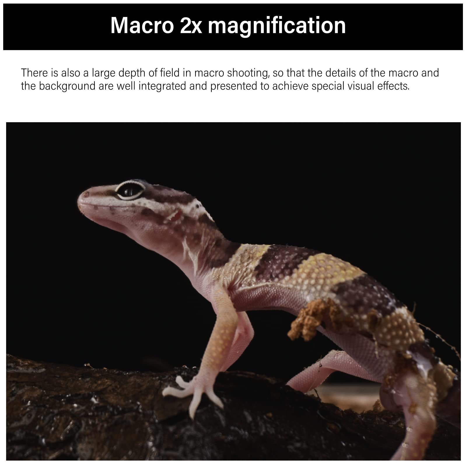 Astrhori 28Mm F13 Probe Lens 2X Macro Lens Full Frame Specialty Lens For Cine Pl Mount